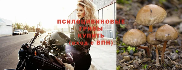 a pvp Абаза
