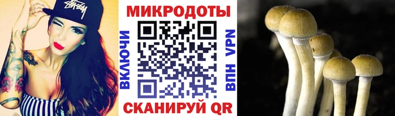 Галлюциногенные грибы Magic Shrooms  Рязань 